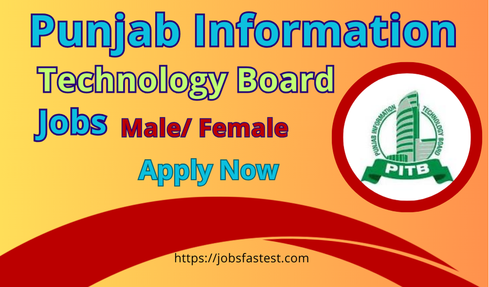 Punjab Information Technology Board jobs