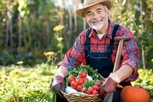 new zealand farm jobs