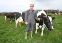 Farm Worker Jobs in New Zealand