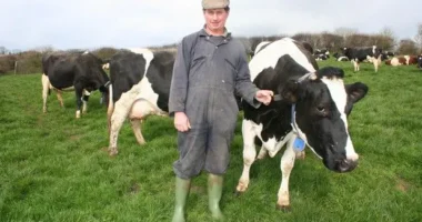 Farm Worker Jobs in New Zealand