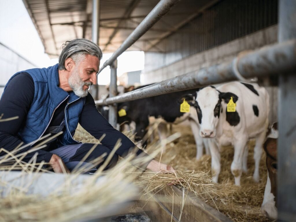 farm worker groundsperson job in new zealand