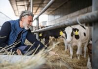 full time farm worker job nz