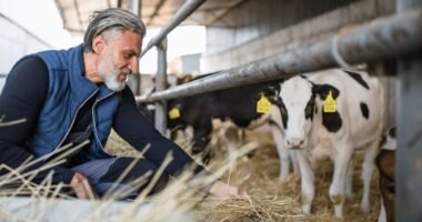 full time farm worker job nz