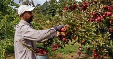 Farm Worker Job in Canada