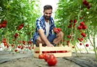 Farm hand jobs in Australia agriculture work