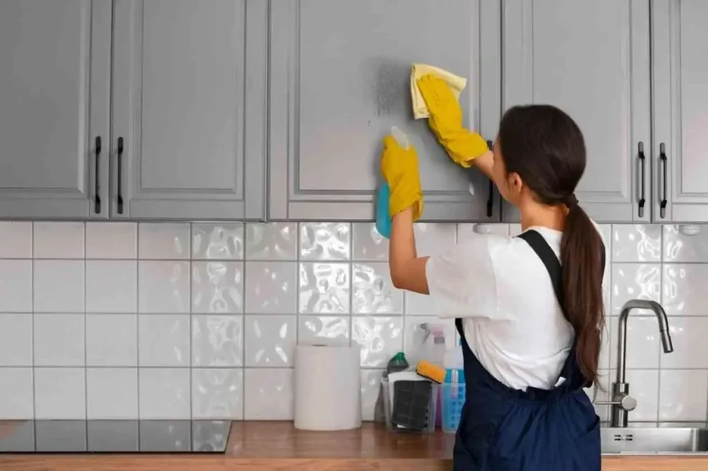 house cleaner jobs in new zealand