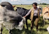 dairy farm worker job Quebec Canada