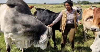 dairy farm worker job Quebec Canada